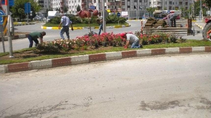 Kırklareli Belediyesi Daha Yeşil Bir Kırklareli İ&ccedil;in &Ccedil;alışıyor
