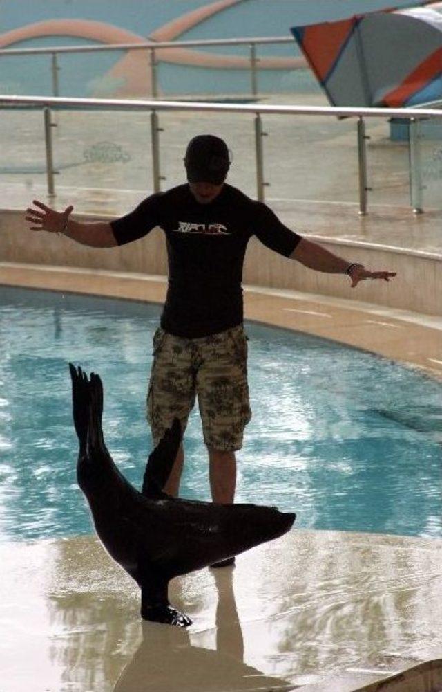 Fok G&ouml;sterisine B&uuml;y&uuml;k İlgi 1