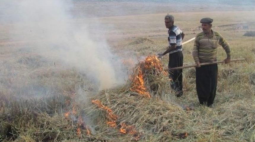 Araban İl&ccedil;esinde 2014 Yılı Firik Sezonu Başladı