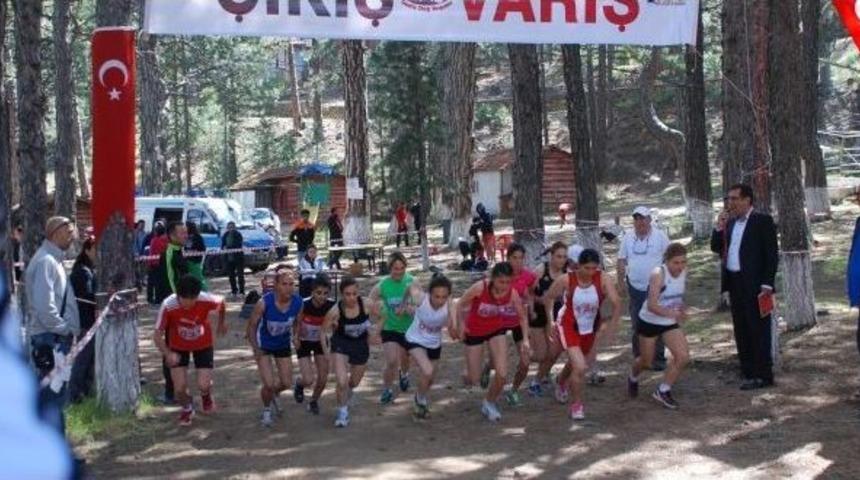 Tubay Romanya&rsquo;ya, Song&uuml;l İtalya&rsquo;ya Koştu