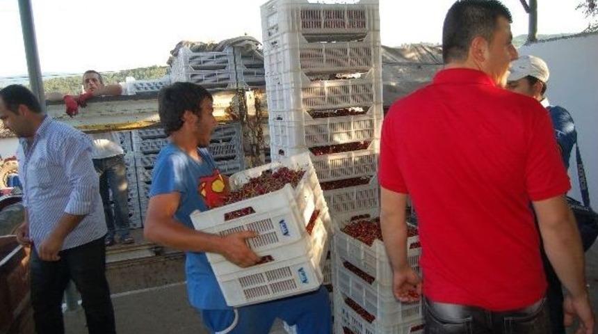 Kirazdaki Verimlilik &Uuml;reticileri Vuruyor