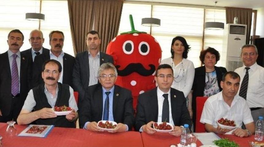 Sivaslı &Ccedil;ilek Festivali Uşak&rsquo;tan Start Alacak