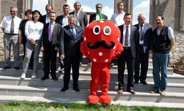 Sivaslı Çilek Festivali Uşak’tan Start Alacak