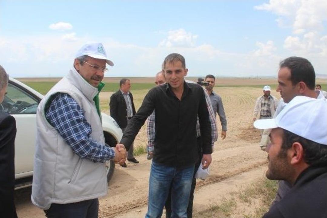 &Ccedil;apa G&uuml;nlerine Karakimse K&ouml;y&uuml;nde Devam Edildi