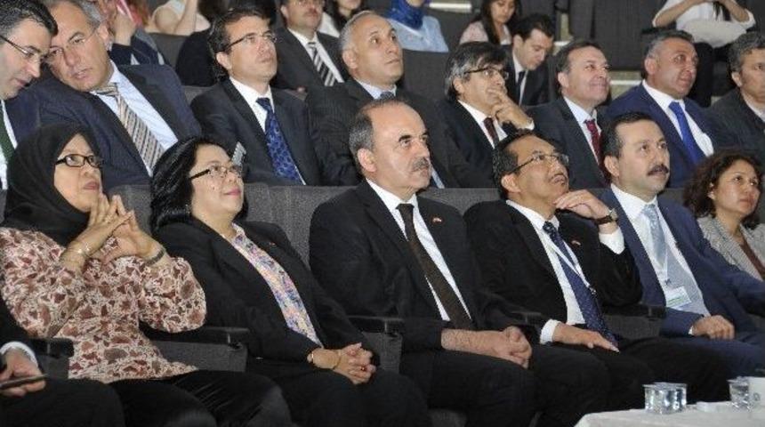 Sel&ccedil;uk&rsquo;ta 4. Ulusal Zeytin &Ouml;ğrenci Kongresi Başladı