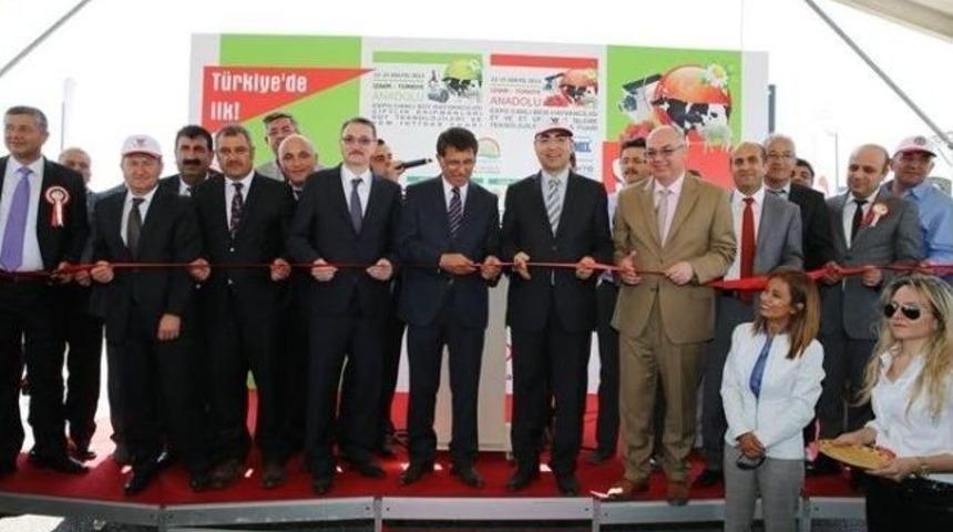 T&uuml;rk Hayvancılığı'nın Kalbi İzmir'de Attı