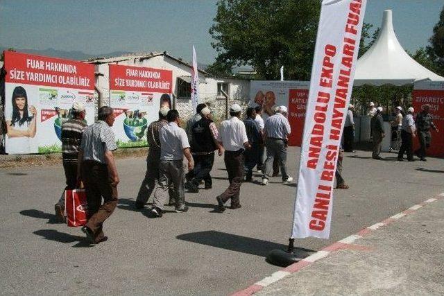 Türk Hayvancılığı'nın Kalbi İzmir'de Attı