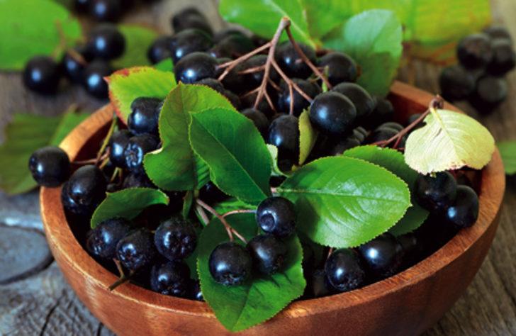 Mucize bitki aronia kanser düşmanı