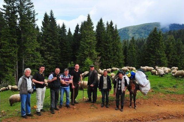 Giresun'da Doğacılardan Yayla Göçü Yürüyüşü