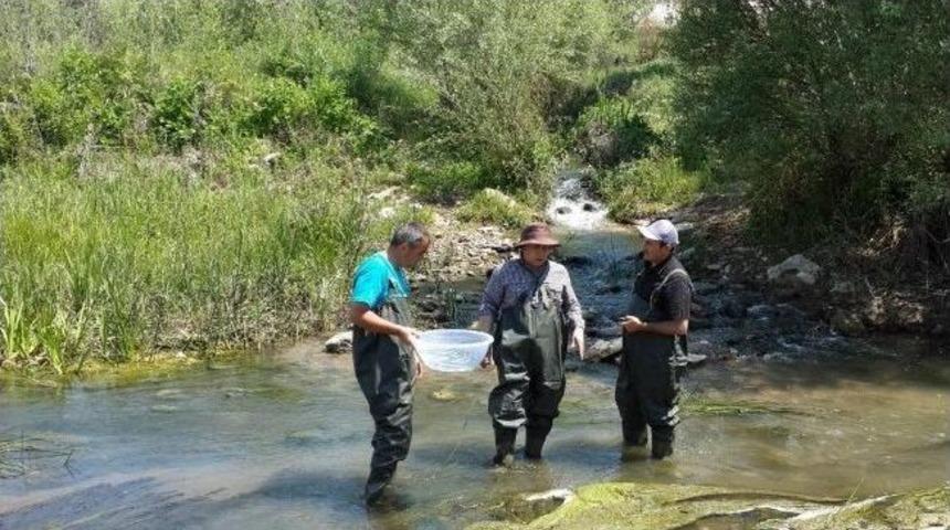 Beyşehir&rsquo;de Sinekle M&uuml;cadele &Ccedil;alışmaları S&uuml;r&uuml;yor