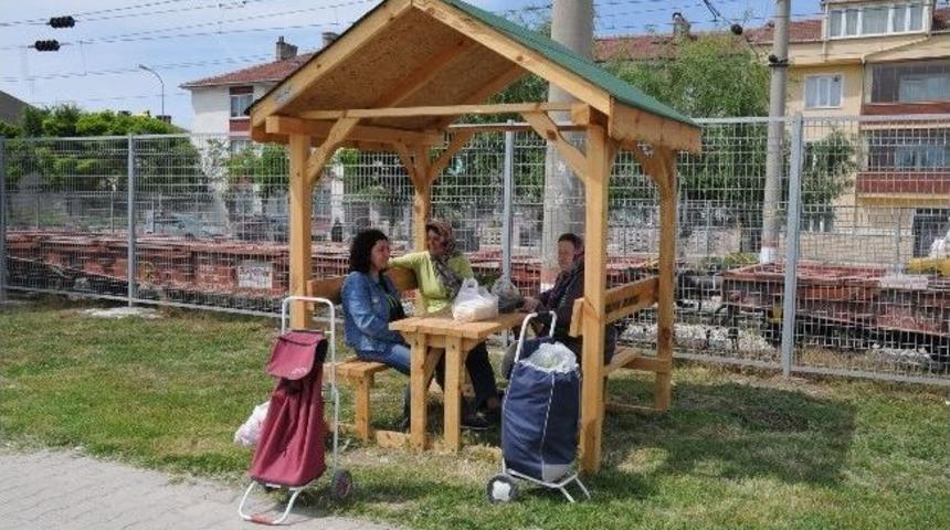Şenkal Caddesi&rsquo;ne Kamelya