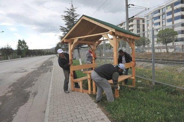 Şenkal Caddesi’ne Kamelya