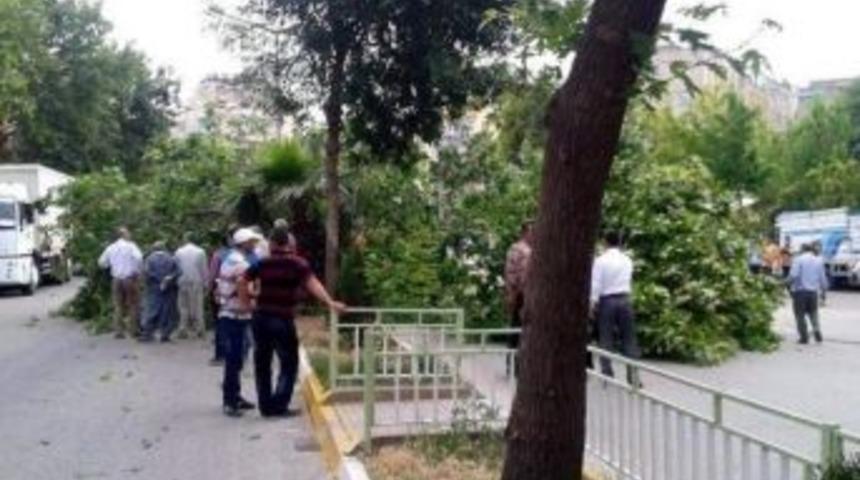 Kamyonun &Ccedil;arptığı Ağa&ccedil; Yola Devrildi