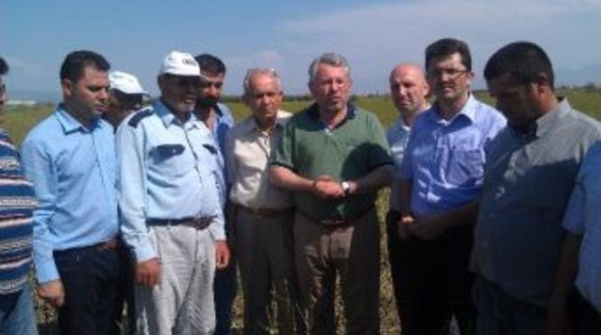 Ak Parti Milletvekili Y&uuml;ksel&rsquo;den Pamuk &Uuml;reticilerine M&uuml;jde