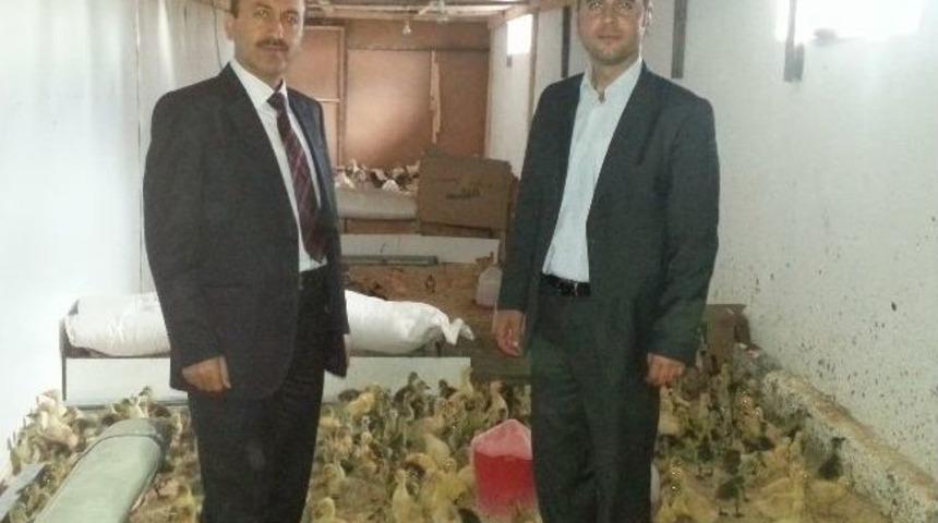 Kars'ta Yeni Kazlar Kulu&ccedil;kadan &Ccedil;ıktı