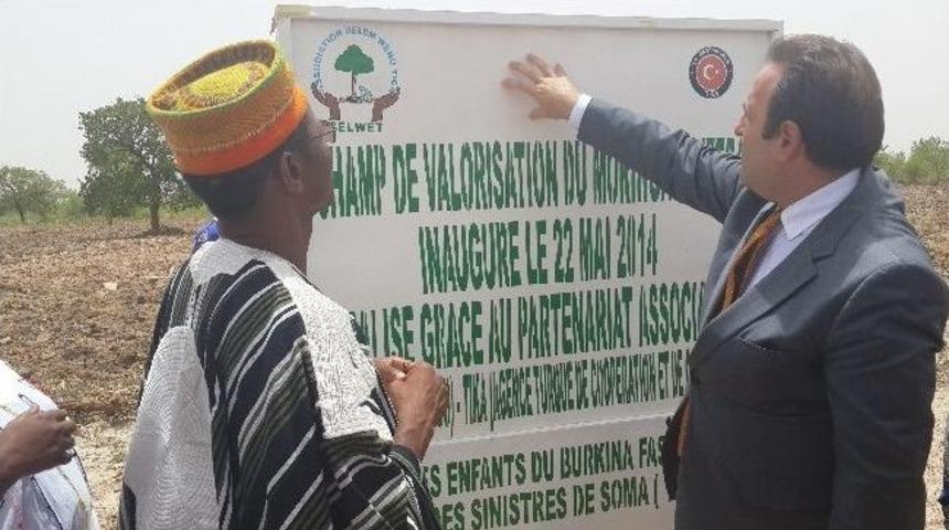 Burkina Faso&rsquo;da Fidanlar Soma Şehitleri İ&ccedil;in Dikildi