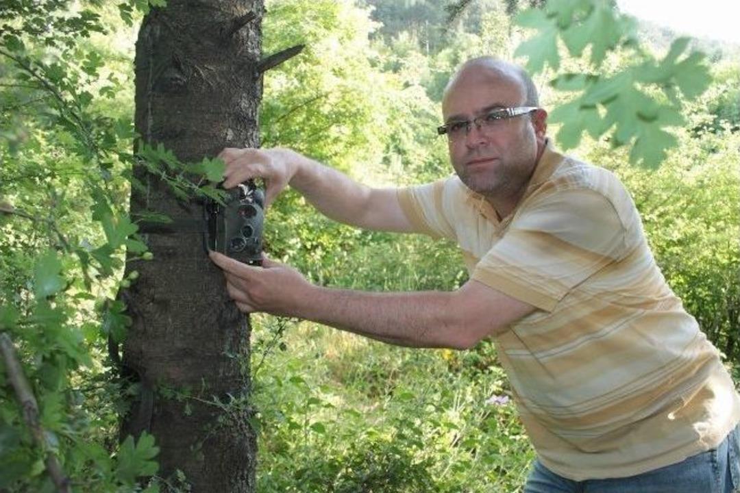 (&ouml;zel Haber) Uludağ&rsquo;ın Eteklerindeki Vahşi Hayat Kamerada