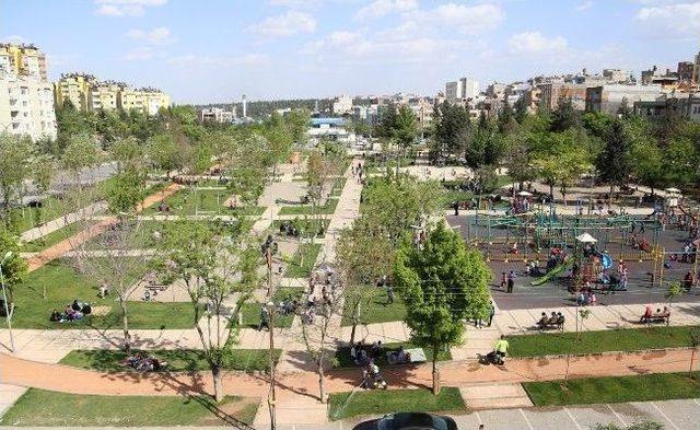 Şehitkamil’de Parklar Cıvıl Cıvıl