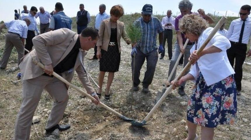 Tarsus'ta 2 Bin Adet Fidan Toprakla Buluştu