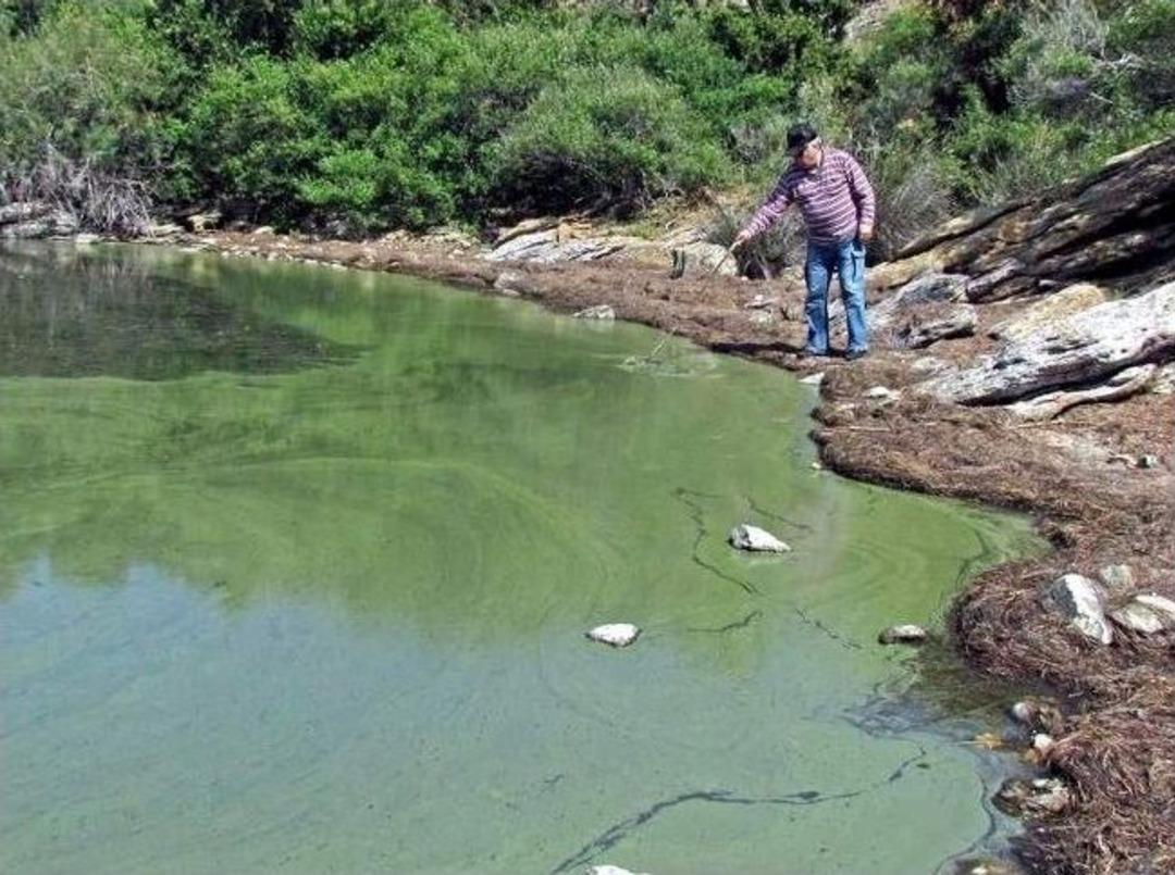 Bakan Eroğlu: &ldquo;bafa&rsquo;da Endişe Edilecek Bir Durum Yok&rdquo;
