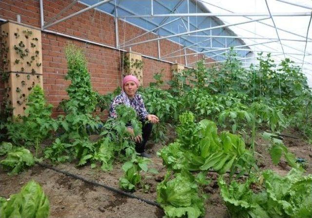 Çin’de Gördü, Erzurum’da Hayata Geçirdi