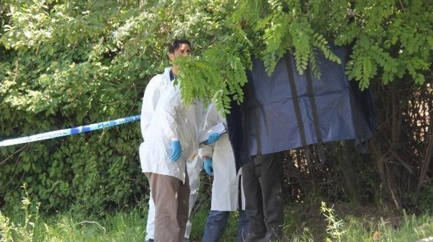 Bing&ouml;l'de Bir Kişi Ağaca Asılı Olarak Bulundu