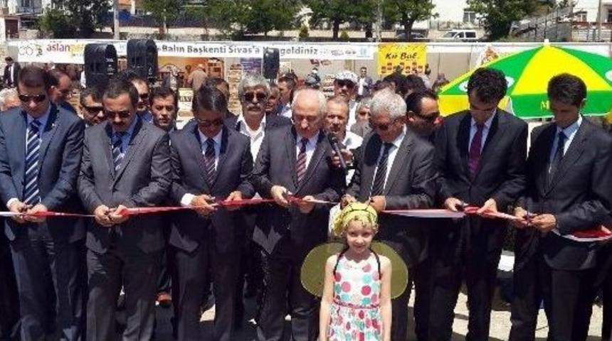 5. D&uuml;nya Arı G&uuml;n&uuml; Sivas&rsquo;ta Kutlandı