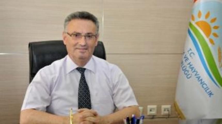 Gıda Tarım Ve Hayvancılık İl M&uuml;d&uuml;r&uuml; Hasan &Ccedil;ebi Tarımsal Desteklemelere İlişkin A&ccedil;ıklamalarda Bulundu