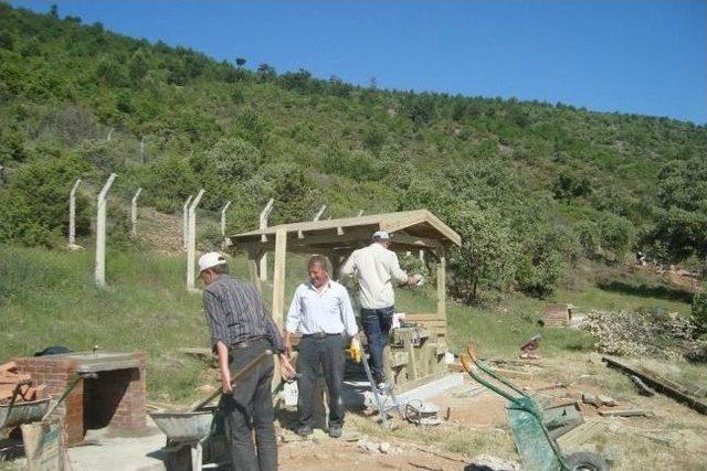 Esire Kaplıcaları Çevresinde Piknik Alanı Düzenlemesi