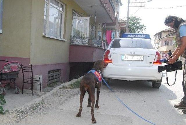 Jandarmadan Uyuşturucu Baskını