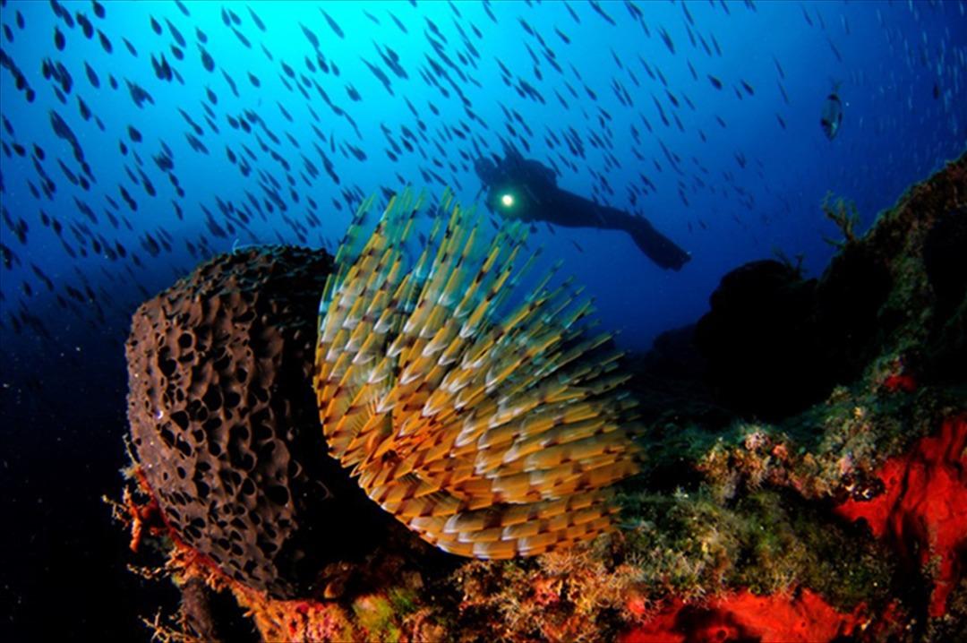 Bunu g&ouml;rmek i&ccedil;in akın akın T&uuml;rkiye'ye geliyorlar