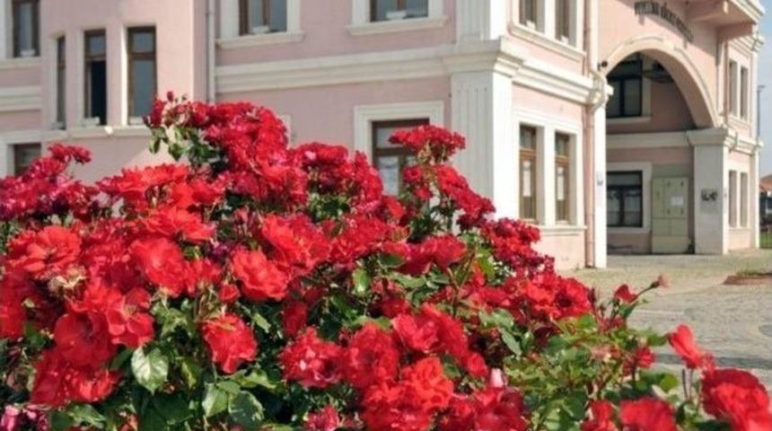 Bandırma &Ccedil;i&ccedil;ek A&ccedil;tı