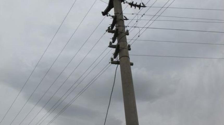 Kopan Elektrik Teli Buğday Tarlasını Ve Kovanları Yaktı