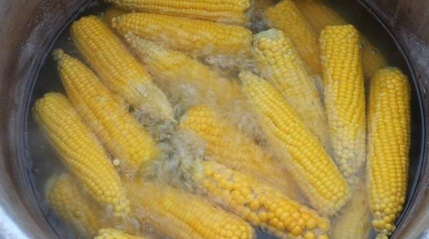 Mut&rsquo;ta Kaynamış Mısır Sezonu A&ccedil;ıldı