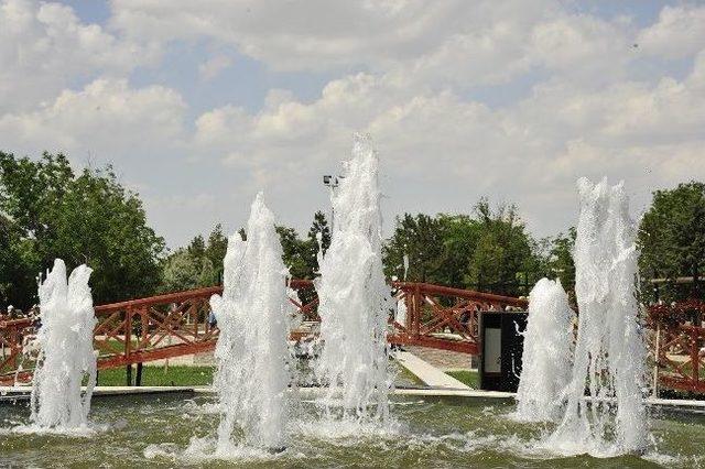 Karaman Şehir Mezarlığında Gül Bahçesi