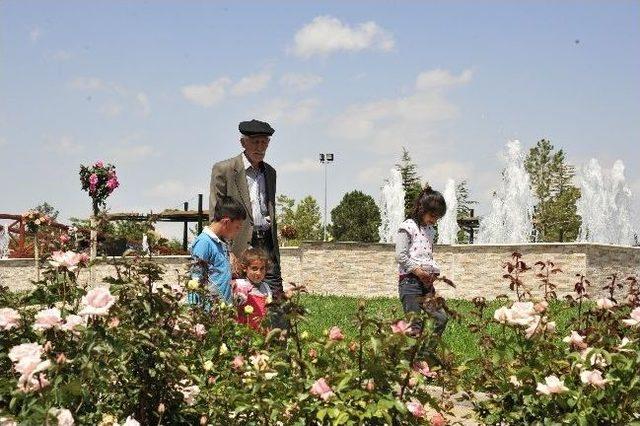 Karaman Şehir Mezarlığında Gül Bahçesi