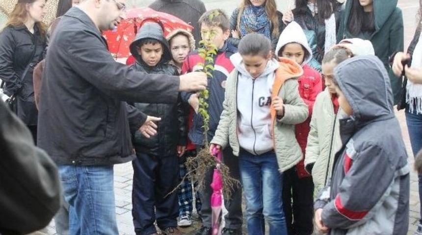 &Uuml;niversiteli &Ouml;ğrenciler Fidan Dikti