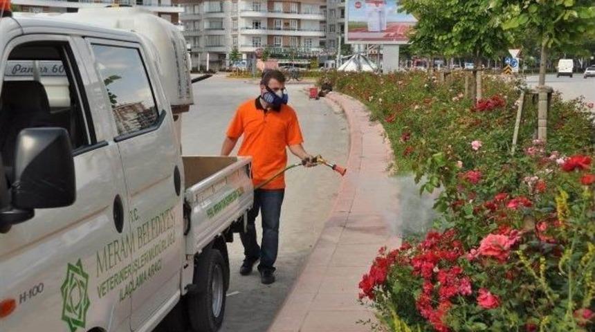 Meram&rsquo;da Haşereyle M&uuml;cadele S&uuml;r&uuml;yor