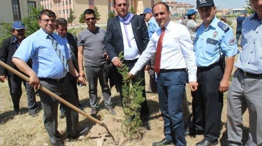 Beyşehir&rsquo;de 2 Bin Sedir Fidanı Toprakla Buluşturuldu