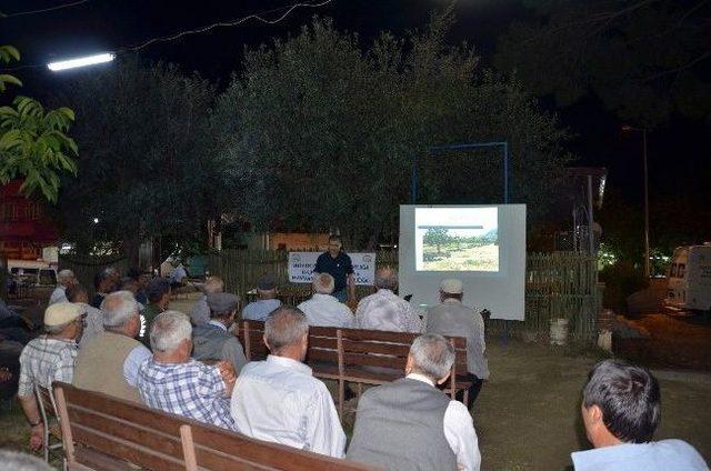 Aydın’da İncir Yetiştiricileri Hazırlıklara Başladı