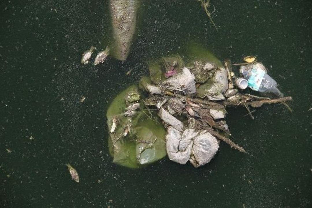 Adana'nın Merkezinde &Ccedil;evre Felaketi