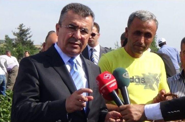 Tütünün Alternatifi Çilek Üreticiyi Güldürdü G3