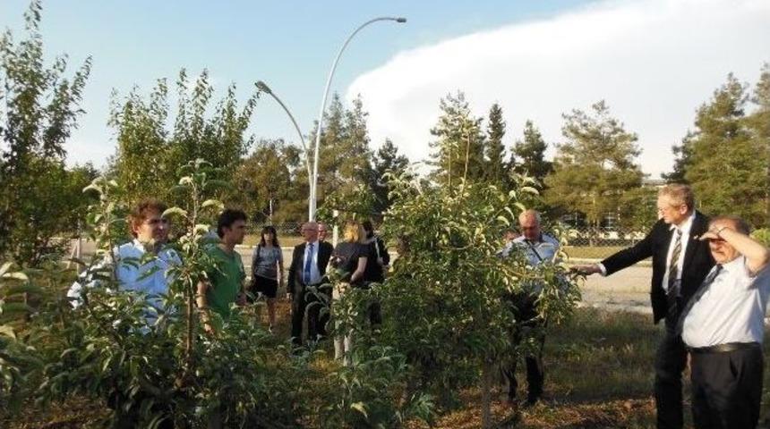 T&uuml;rk-alman Kiraz Ve Elma &Ccedil;alıştayı