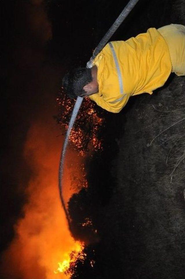 İnegöl Orman İşletmesi Yangın Mevsimine Hazır 1