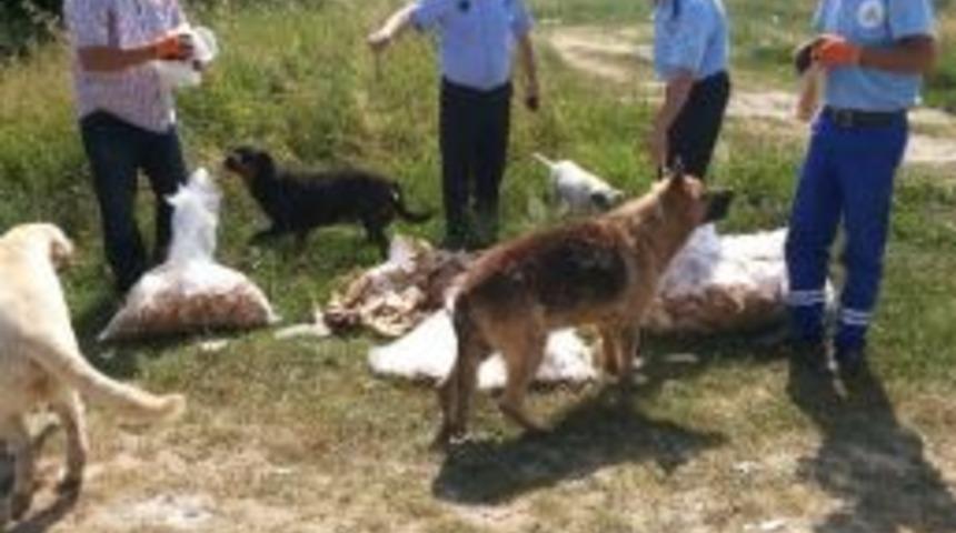 Kartepe Zabıtası&rsquo;ndan &Ouml;rnek Davranış