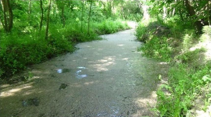 (&ouml;zel Haber) Kula Deresi Alarm Veriyor