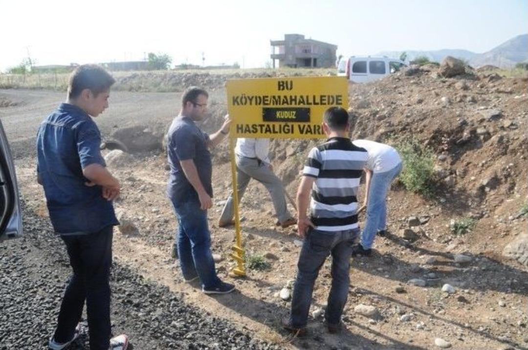 Kuduz Vakası Tespit Edilen Ulaş K&ouml;y&uuml; Dezenfekte Edildi