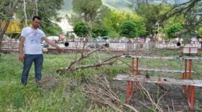 Kırkağaç'ta Fırtına Ağaçları Devirdi