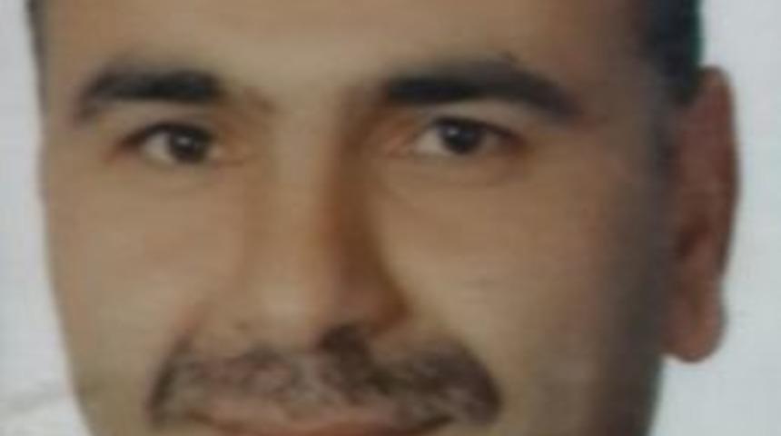 Samsun'da K&ouml;pek Kavgasında 1 Kişi &Ouml;ld&uuml;, 2 Kişi Yaralandı