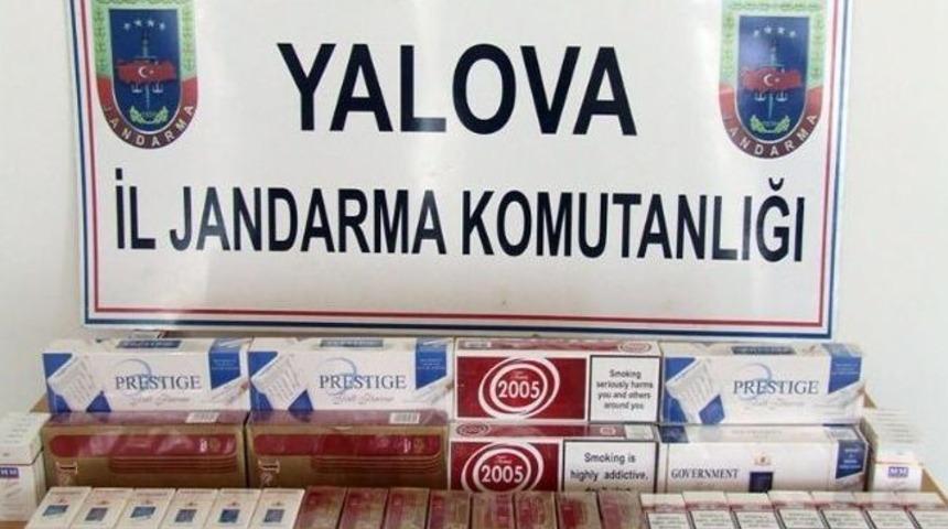 Yalova'da Ka&ccedil;ak Mazot Ve Sigara Operasyonu